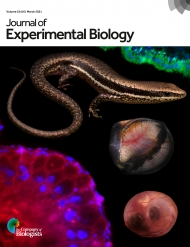 The Journal of Experimental Biology
