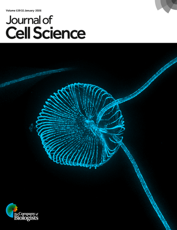 Latest Journal Cover