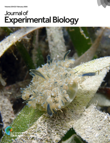 Latest Journal Cover