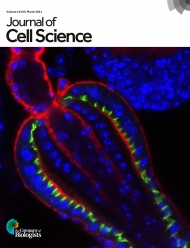 Journal of Cell Science