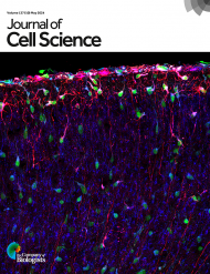 Journal of Cell Science