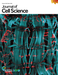 Journal of Cell Science