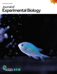 The Journal of Experimental Biology