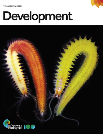 Latest Journal Cover