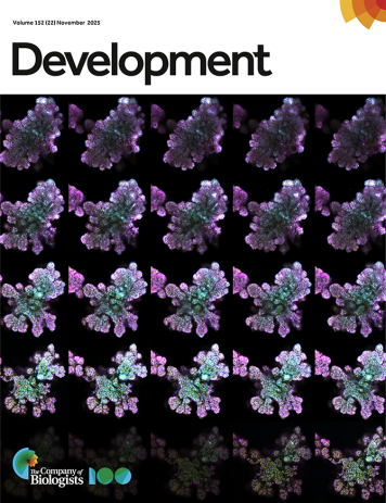 Latest Journal Cover