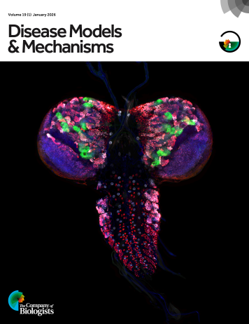 Latest Journal Cover