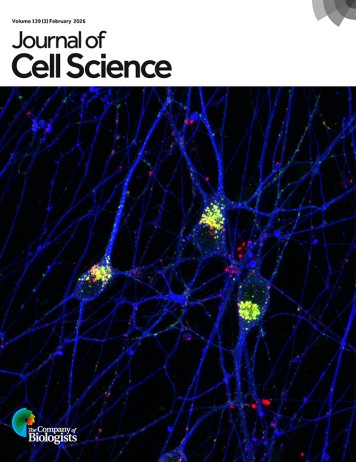 Latest Journal Cover