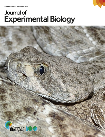 Latest Journal Cover