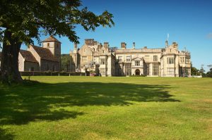 A stately home with a tree in the foreground