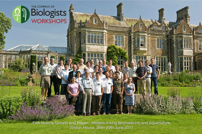 Workshop attendees group photo