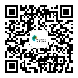 WeChat QR code