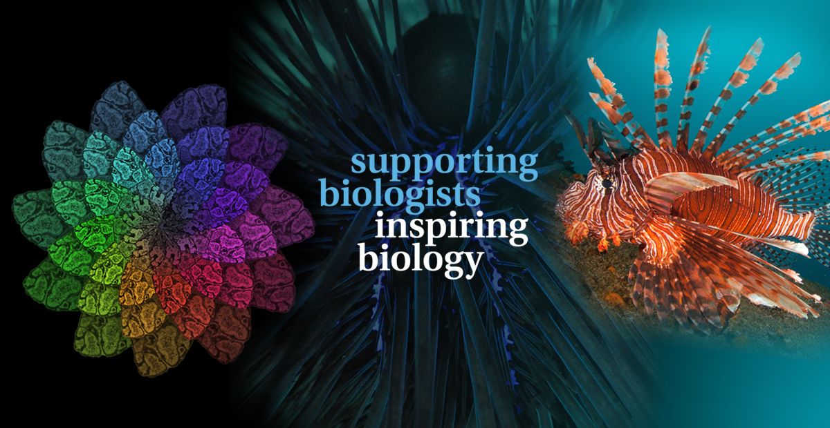 Banner showing a compilation of biological images and the words Supporting biologists, inspiring biology