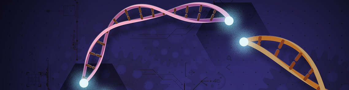 CRISPR-Cas9_NIH_Crop