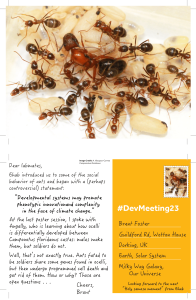 Example of a Node postcard featuring carpenter ants