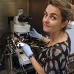 Researcher wearing gloves operates a microscope inside a lab hood, adjusting equipment for a scientific experiment.