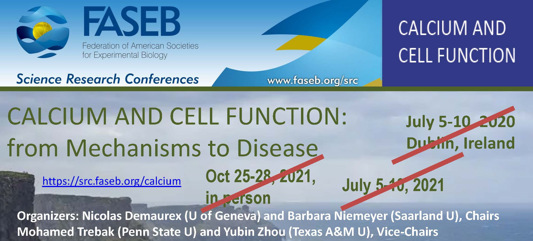 A meeting poster advertising the FASEB conference