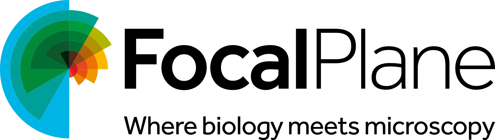 FocalPlane logo