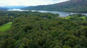An overhead image of Great Knott Wood in the Lake District National Park, UK