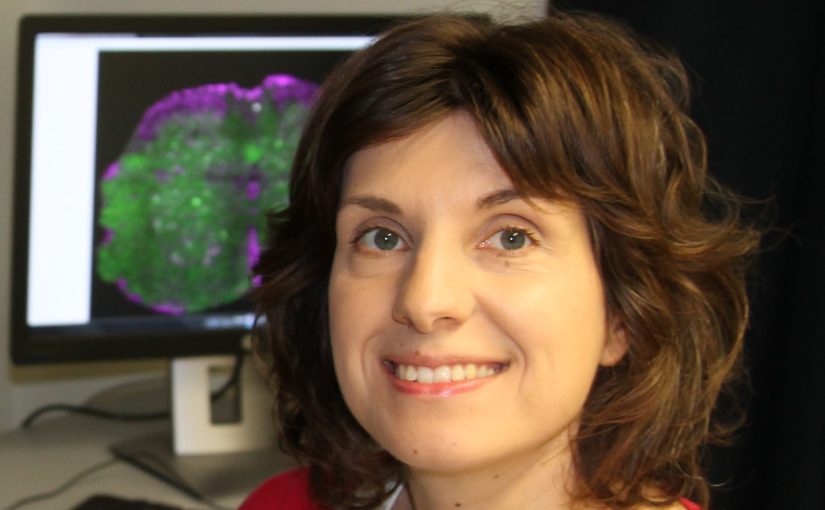 Ivana Nikic-Spiegel, University of Tübingen