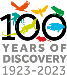 JEB - 100 years of discovery logo