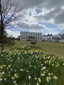 A stately home with daffodils in the foreground