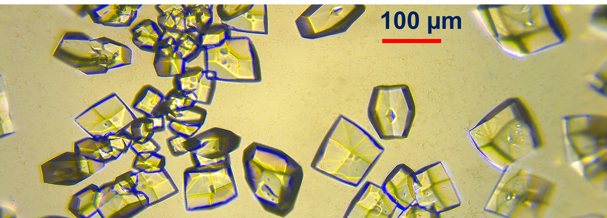 Crystals viewed down a microscope