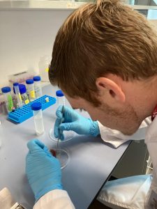 Anthony dissecting a coral in a petri dish while wearing a labcoat and gloves. 