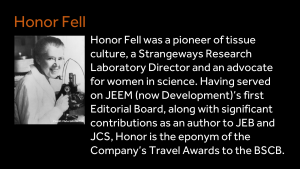 Honor Fell - Honor Fell was a pioneer of tissue culture, a Strangeways Research Laboratory Director and an advocate for women in science. Having served on JEEM (now Development)’s first Editorial Board, along with significant contributions as an author to JEB and JCS, Honor is the eponym of the Company’s Travel Awards to the BSCB.