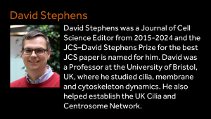David Stephens - David Stephens was a Journal of Cell Science Editor from 2015-2024 and the JCS–David Stephens Prize for the best JCS paper is named for him. David was a Professor at the University of Bristol, UK, where he studied cilia, membrane and cytoskeleton dynamics. He also helped establish the UK Cilia and Centrosome Network.