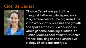 Clotilde Cadart -Clotilde Cadart was part of the inaugural Pathway to Independence Programme cohort. She organised the 2022 Workshop on cell size and growth and spoke at the 2025 Workshop on whole genome doubling. Clotilde is a Junior Group Leader at Institut Cochin, France, focusing on the quantitative biology of cells and embryos.