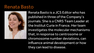 Renata Basto - Renata Basto is a JCS Editor who has published in three of the Company’s journals. She is a CNRS Team Leader at the Institut Curie in France. Her team investigates the molecular mechanisms that, in response to centrosome or chromosome number deviations, can influence animal development or how they can lead to disease.