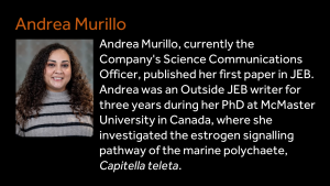 Andrea Murillo - Andrea Murillo, currently the Company's Science Communications Officer, published her first paper in JEB. Andrea was an Outside JEB writer for three years during her PhD at McMaster University in Canada, where she investigated the estrogen signalling pathway of the marine polychaete, Capitella teleta.